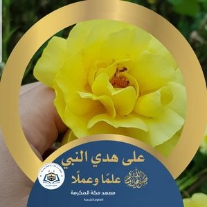 Meet your Posher, Asmaa